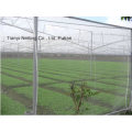 Agriculture Anti Hail Net